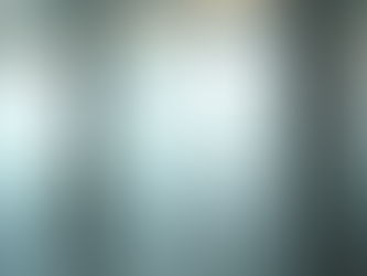 Privacy Window Films: What You Need to Know