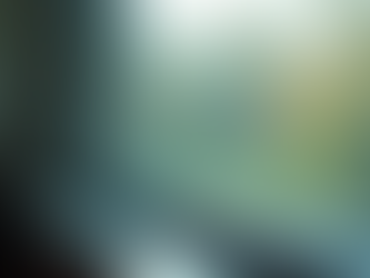 How Window Tinting Enhances Comfort and Privacy in Your Home