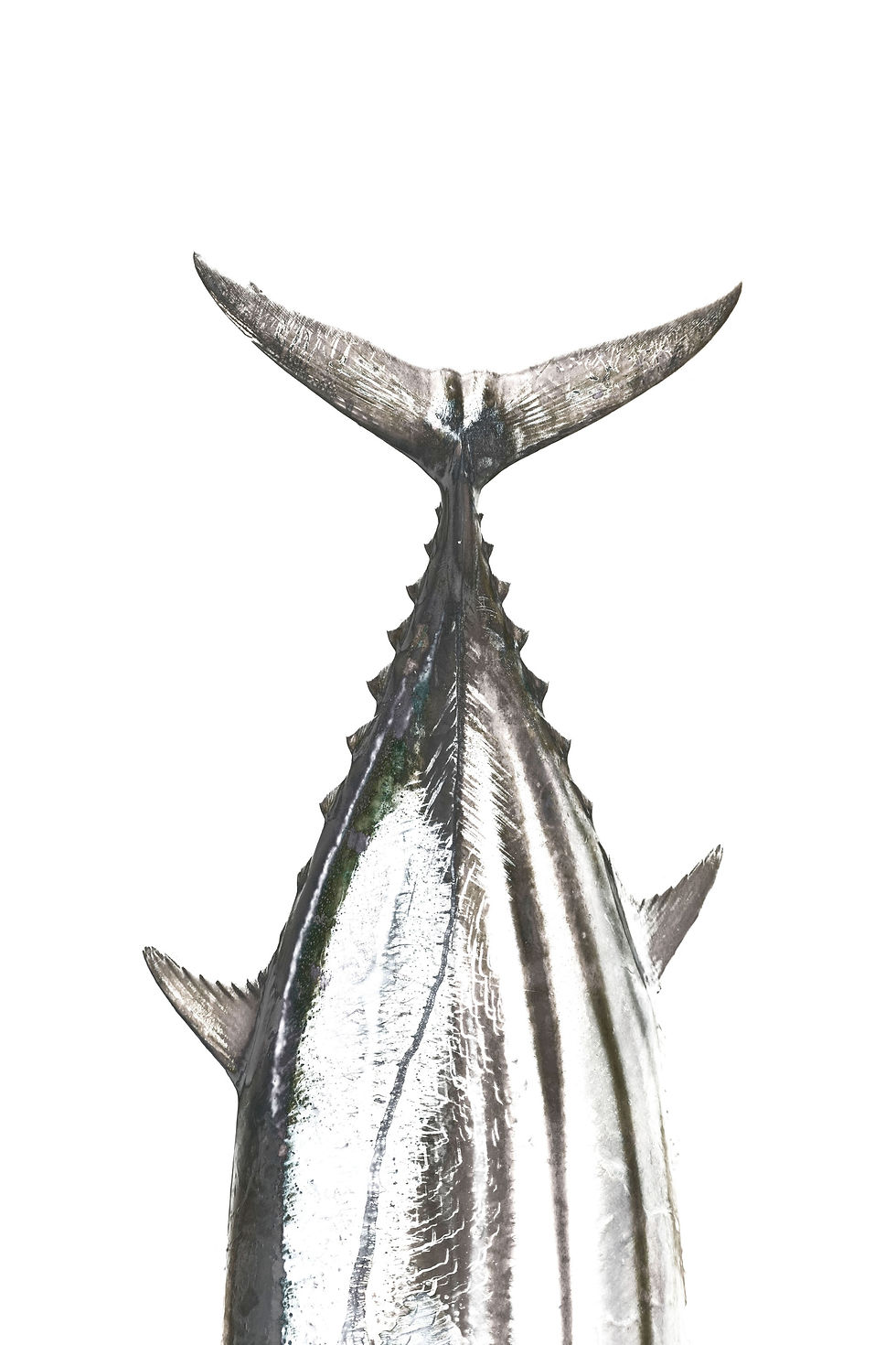 TM9 Gold Coast Prints tm9-gold-coast-prints