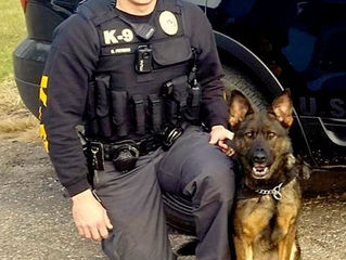 Re: Holocaust Hoax Lowdown