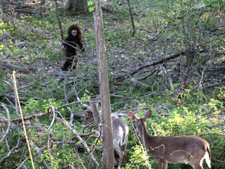Bigfoot Update