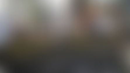 Importance of civil society organisations