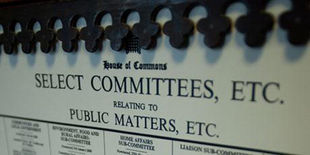 Proposal on Setting up Parliamentary Select Committees