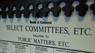 Proposal on Setting up Parliamentary Select Committees