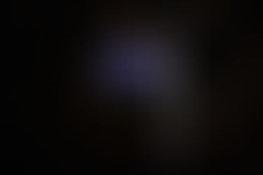 The New Zealand Hate Killing