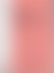 G25 Statement on the Proposed Amendments to the Law Reform (Marriage and Divorce) Act 1976