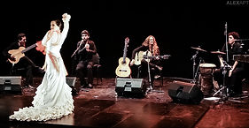 Premiere of Flamenca, February 2014