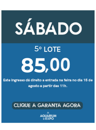 5 (3).png