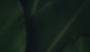COMUNICAÇÃO - ATMAN.jpg
