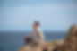 E1941AC5-0990-49B7-8DA8-A80AE37F0F03_1_105_c.jpeg