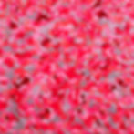 Impassioned