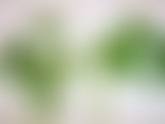 Parsley