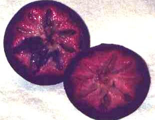 Star Apple