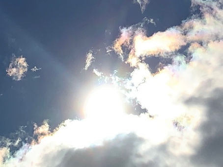 Step into a New Year as The Light