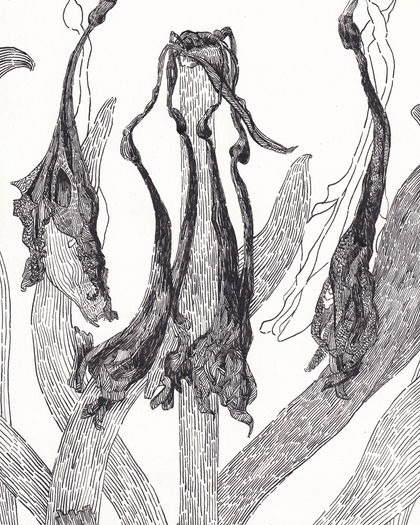 Ink on Paper, 21 x 29,7 cm
January 2021, Vienna Austria