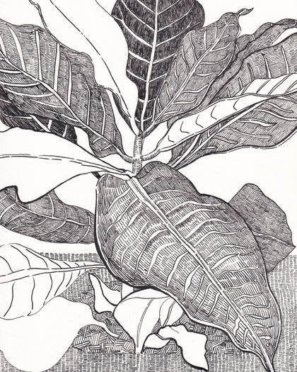 Ink on Paper, 21 x 29,7 cm
January 2021, Vienna Austria