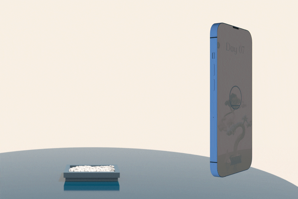 image_01_6_compressed.gif