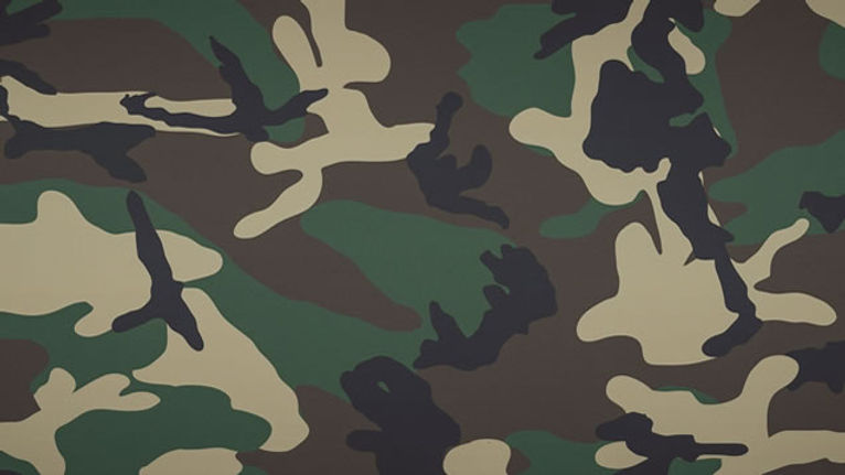 CAMO.jpg