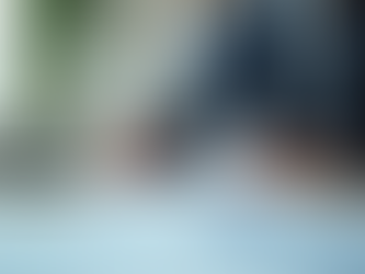 Understanding the Role of Expert Due Diligence Advisors