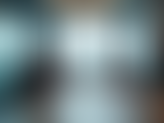 Programme Assurance Services: Enhancing Project Success and Operational Efficiency