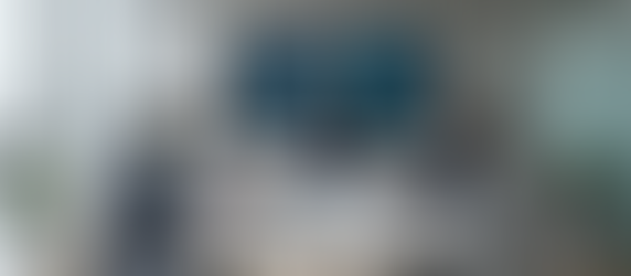 The Role and Responsibilities of a Chief Information Officer: Understanding Chief Information Officer Roles