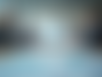 Intology - 30 Years of Project Management Experience