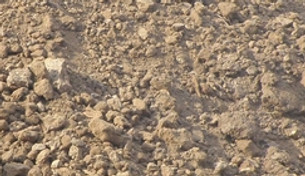 Fill-Dirt.jpg