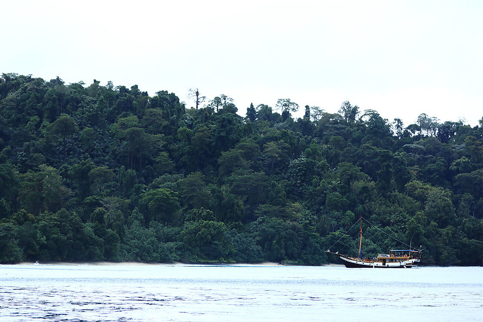 the jiwa surf charter boat at anchor off a jungle covered island in the hinakos