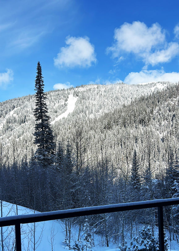 Snow covered views of Challenger Ski Run at Sun Peaks Resort