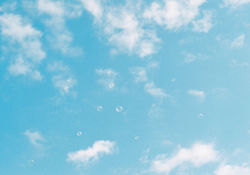 IMG_3744