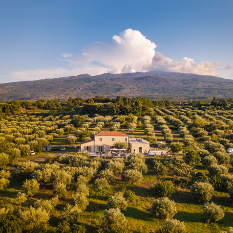 DJI_0061.jpg