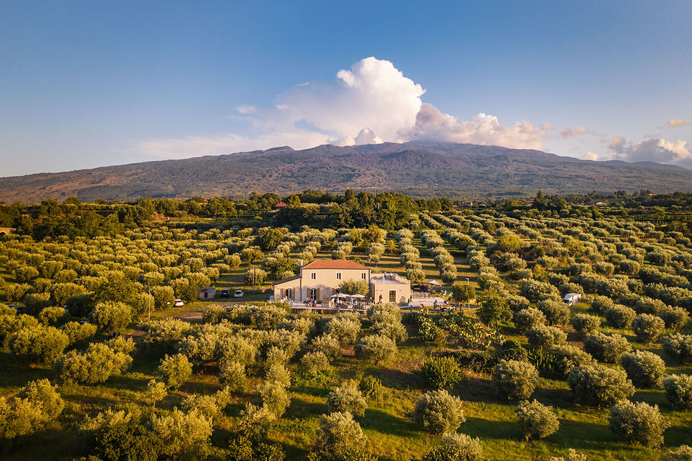 DJI_0061.jpg