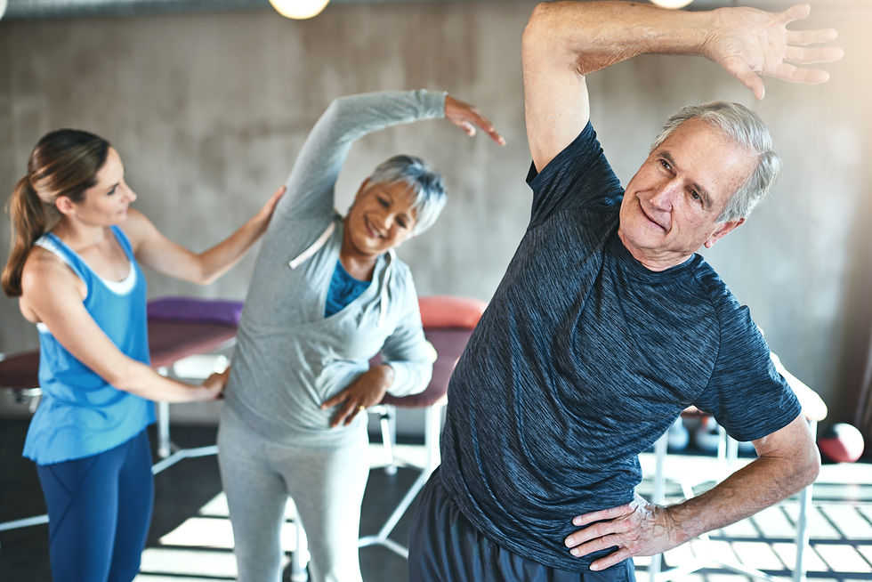 MS01-Opening Spine Stretch Series