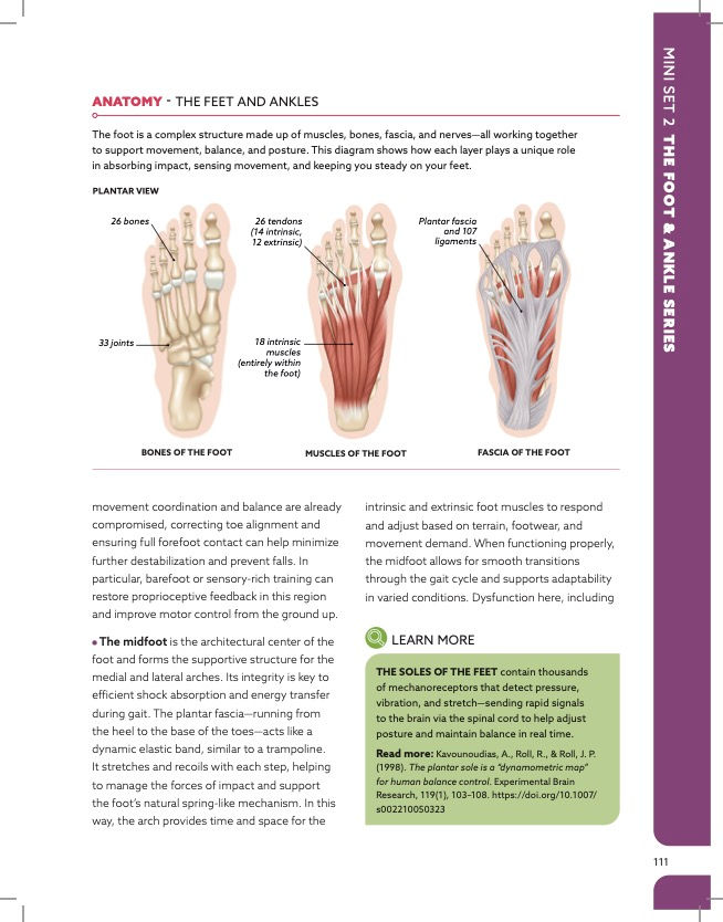 Thumbnail: The 11 ABSOLUTE MUST-DO Exercise Mini Sets for Parkinson's Disease