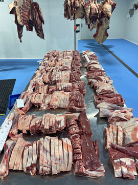 Clean and modern boning room facility for meat processing