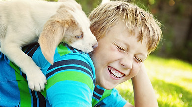 Turf Guys Flea & Tick Spray. Protect your family and pets from blood-sucking pests!! Serving Lake Zurich, Buffalo Grove, Long Grove, Mundelein, Vernon Hills, Libertyville, Wauconda, Crystal Lake, Gurnee, Hawthorn Woods…