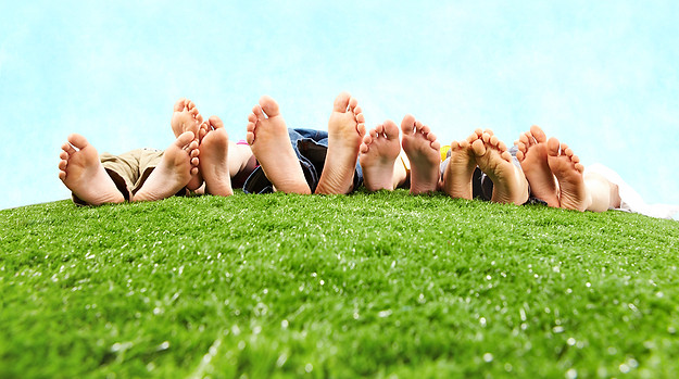 We are industry leaders in lawn care service, specializing in weed control, fertilization, tree care, bug sprays. Serving Lake Zurich, Buffalo Grove, Long Grove, Mundelein, Vernon Hills, Libertyville, Wauconda, Crystal Lake, Gurnee, Hawthorn Woods…