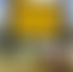 Promoting Wellness in Schools- staff activities