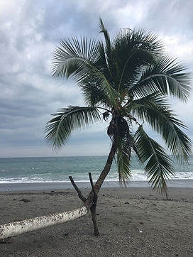 Montezuma Costa Rica