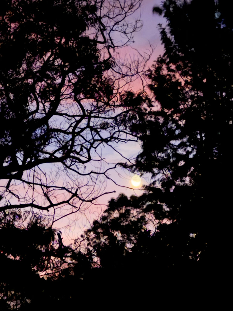 ull moon labyrinth walk at Sacred Garden Maui, where small acts of kindness happen on the narrow path