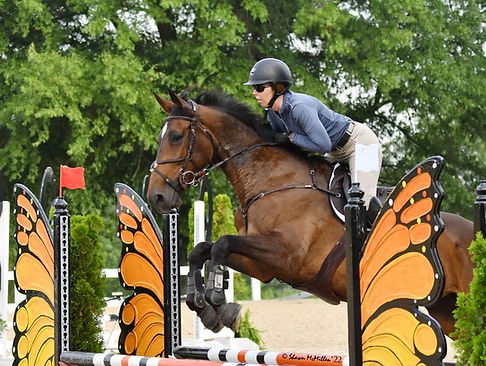 Mystique and Victoria jumping