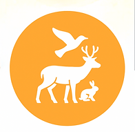 Wildlife.png