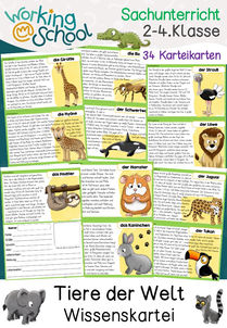 Wissenskartei mit Arbeitsblättern zum Thema Tiere der Welt für Grundschule Klasse 2 bis 4 in Sacharbeit