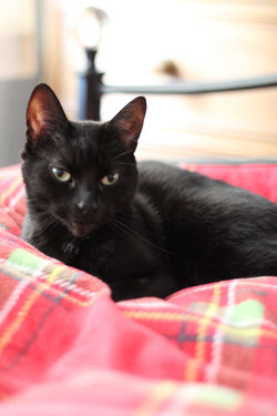 20210203125746_IMG_4307