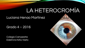 Heterocromía