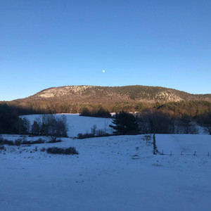 3/1 - Spring will have its turn