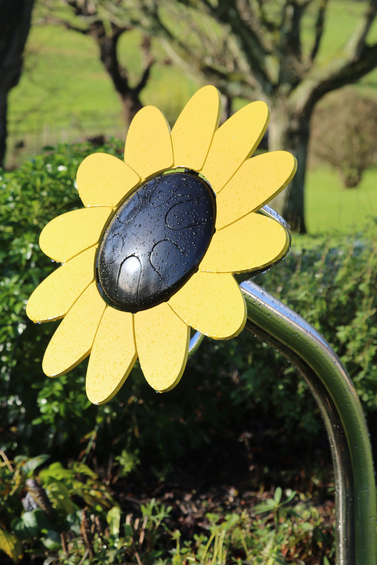 Thumbnail: Sunflower Petal Drum