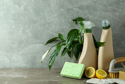 A countertop display in a Tucson home features eco-friendly cleaning essentials: beige spray bottles with green nozzles, a wooden scrub brush, a leafy plant, and lemon halves beside a soft sponge and cloth. The arrangement suggests a commitment to natural ingredients and sustainable care without compromising on cleanliness.
