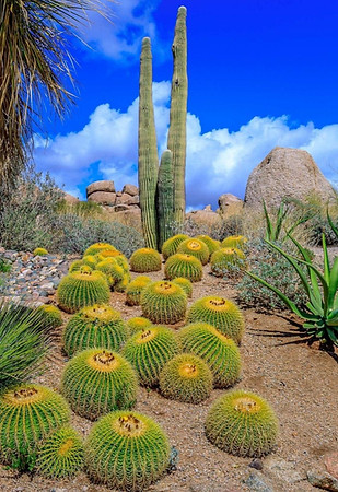 Untitled design (31)_edited.jpg