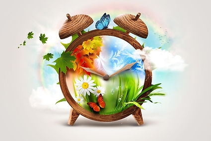 A wooden clock in a Tucson home displays artistic scenes for each season—autumn leaves, winter snowflakes, spring grass, and summer daisies—symbolizing the rhythm of seasonal home cleaning and care throughout the year.
